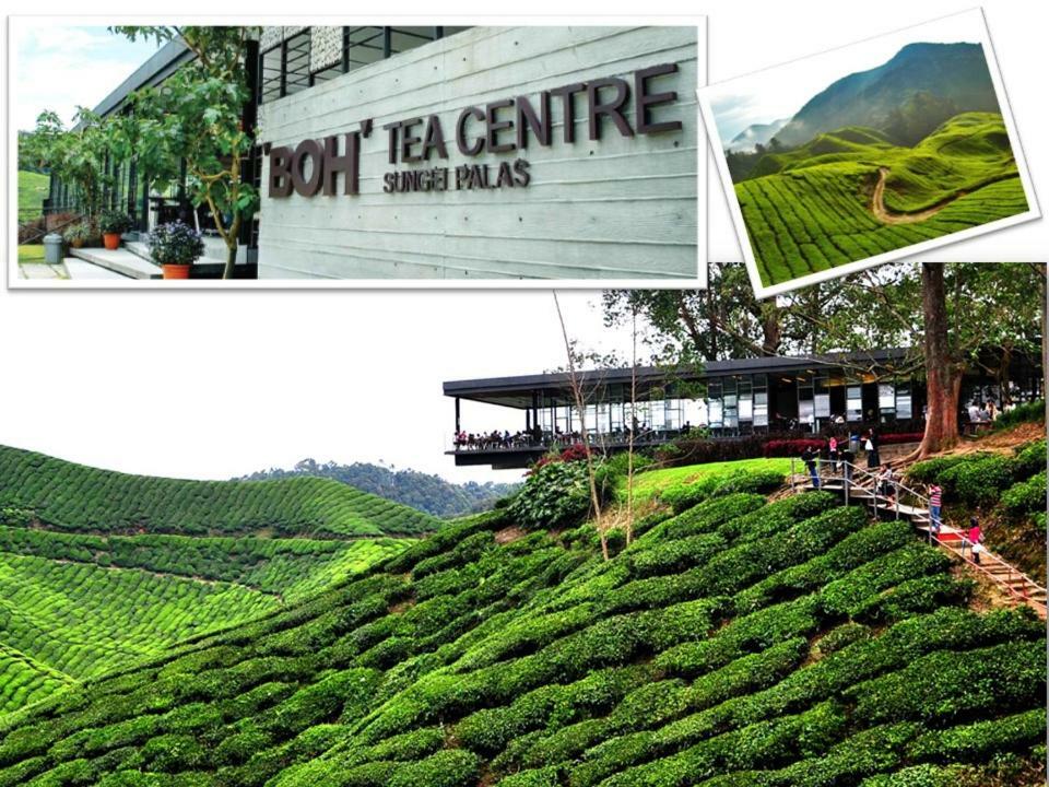 Cameron Nova Highlands Resort I Cameron Highlands Bagian luar foto
